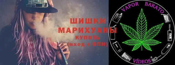 МДПВ Гусев