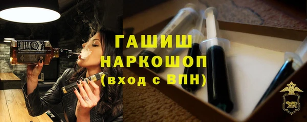 МДПВ Гусев