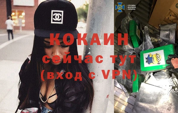 сатива Гусь-Хрустальный