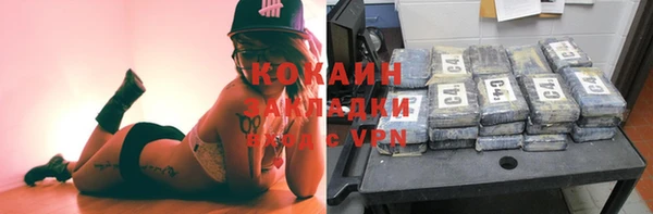 МДПВ Гусев