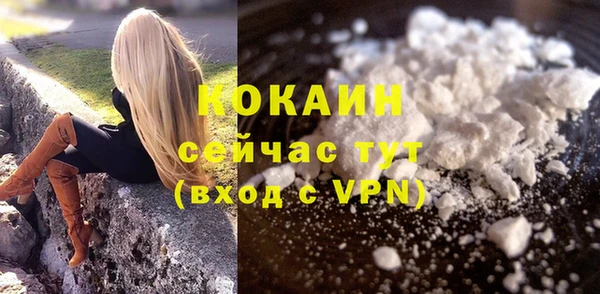 МДПВ Гусев