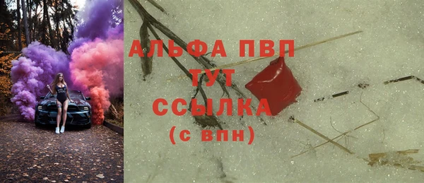 сатива Гусь-Хрустальный