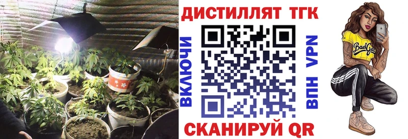 Купить закладки  Шлиссельбург  ТГК жижа 