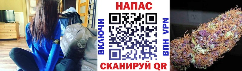 Каннабис ГИДРОПОН Шлиссельбург
